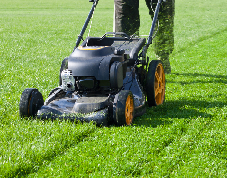 gardening service